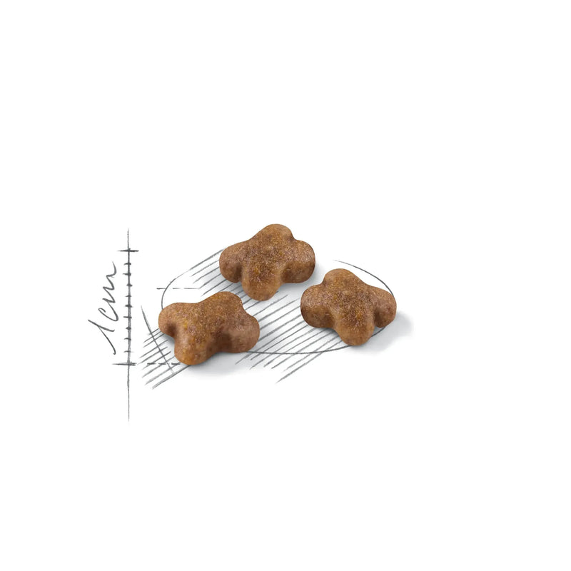 Royal Canin Second Age Kitten