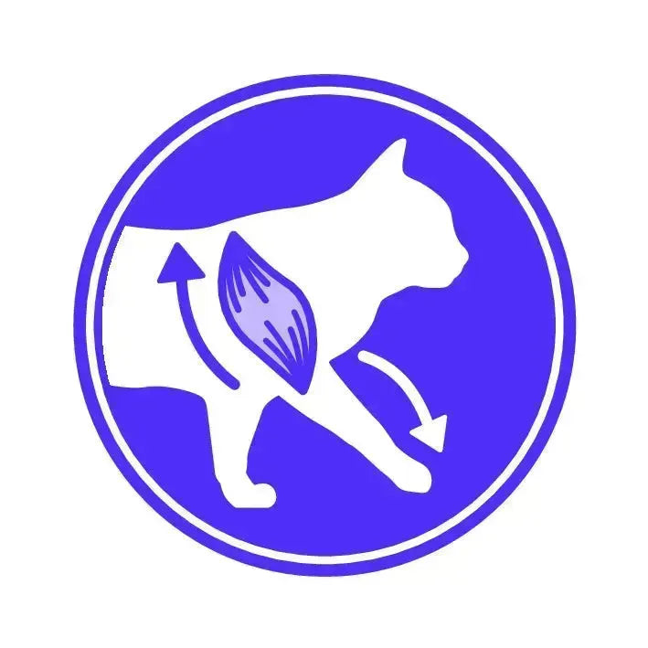 Royal Canin Sterilised 37 - PetsCura