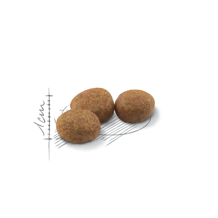 Royal Canin Sterilised 37 - PetsCura