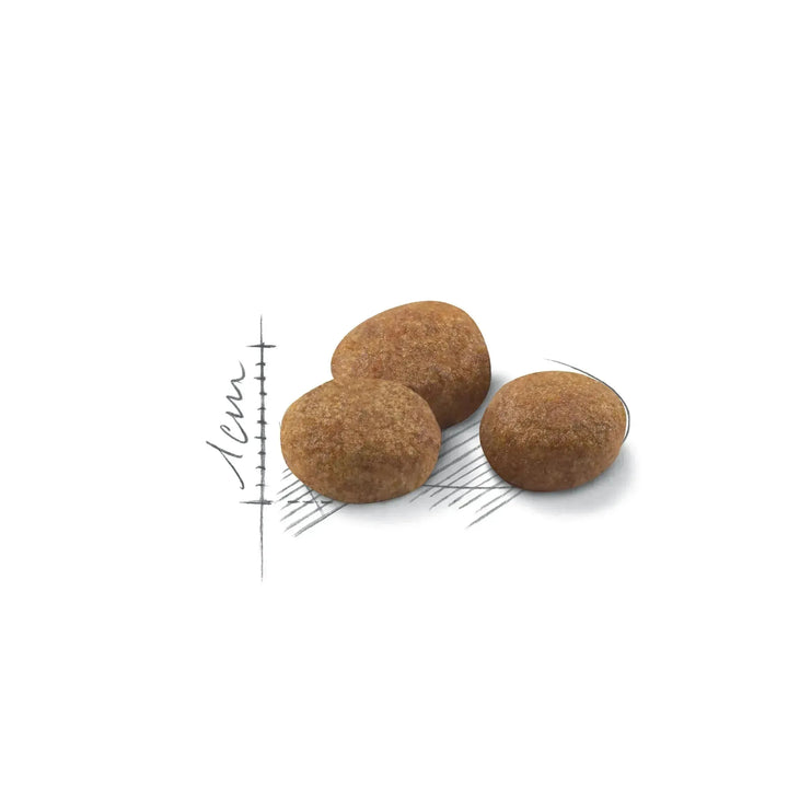 Royal Canin Sterilised 7+ - PetsCura