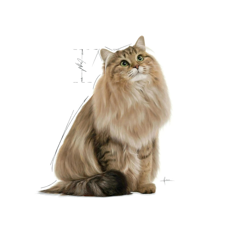 Royal canin Intense Beauty