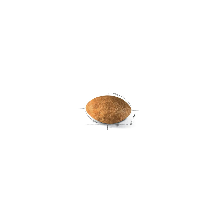 Royal Canin Persian Adult