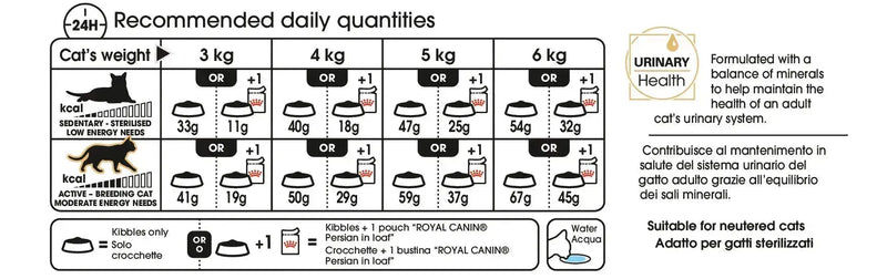 Royal Canin Persian Adult - PetsCura