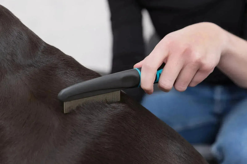 Flea and Dust Comb