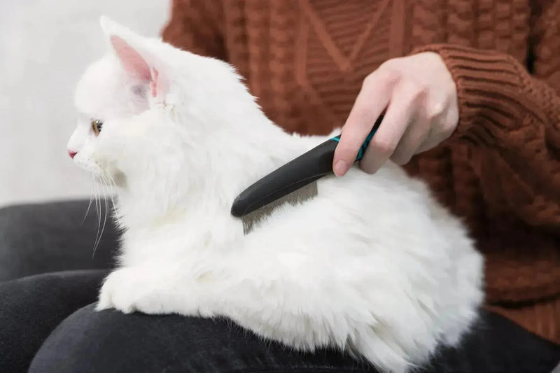Flea and Dust Comb