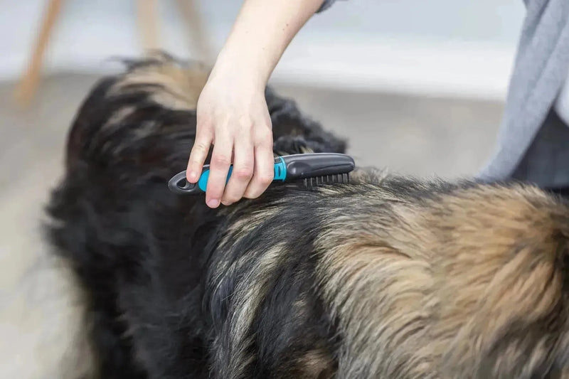 Fur Detangler