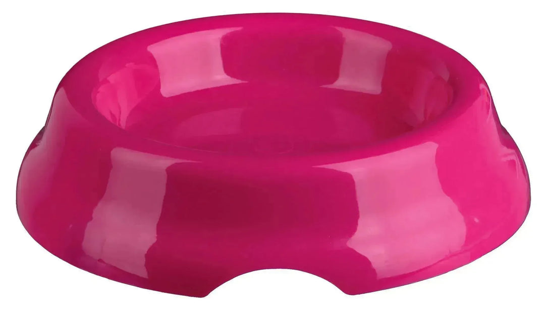 Plastic Bowl for Cats - PetsCura