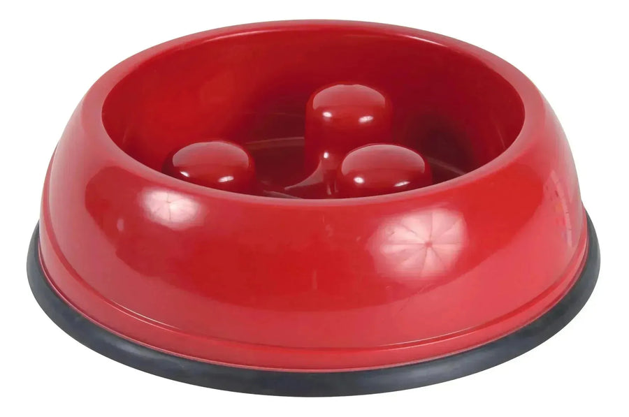 Slow Feed Bowl for Dogs - PetsCura