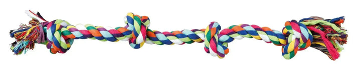 Playing Rope - PetsCura