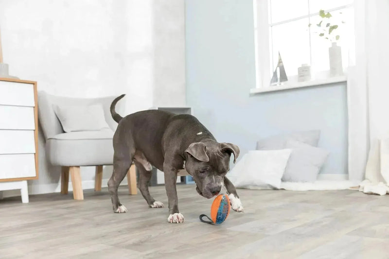 Push to Mute Rugby Ball