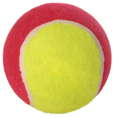 Tennis Balls, Set of 12 - PetsCura