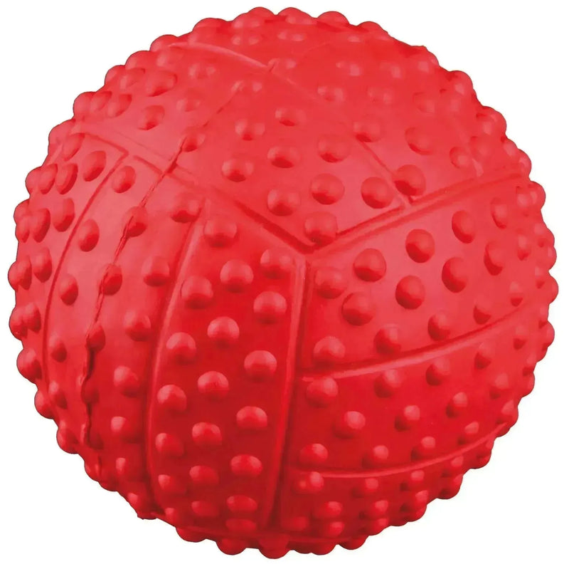 Sport Ball - PetsCura