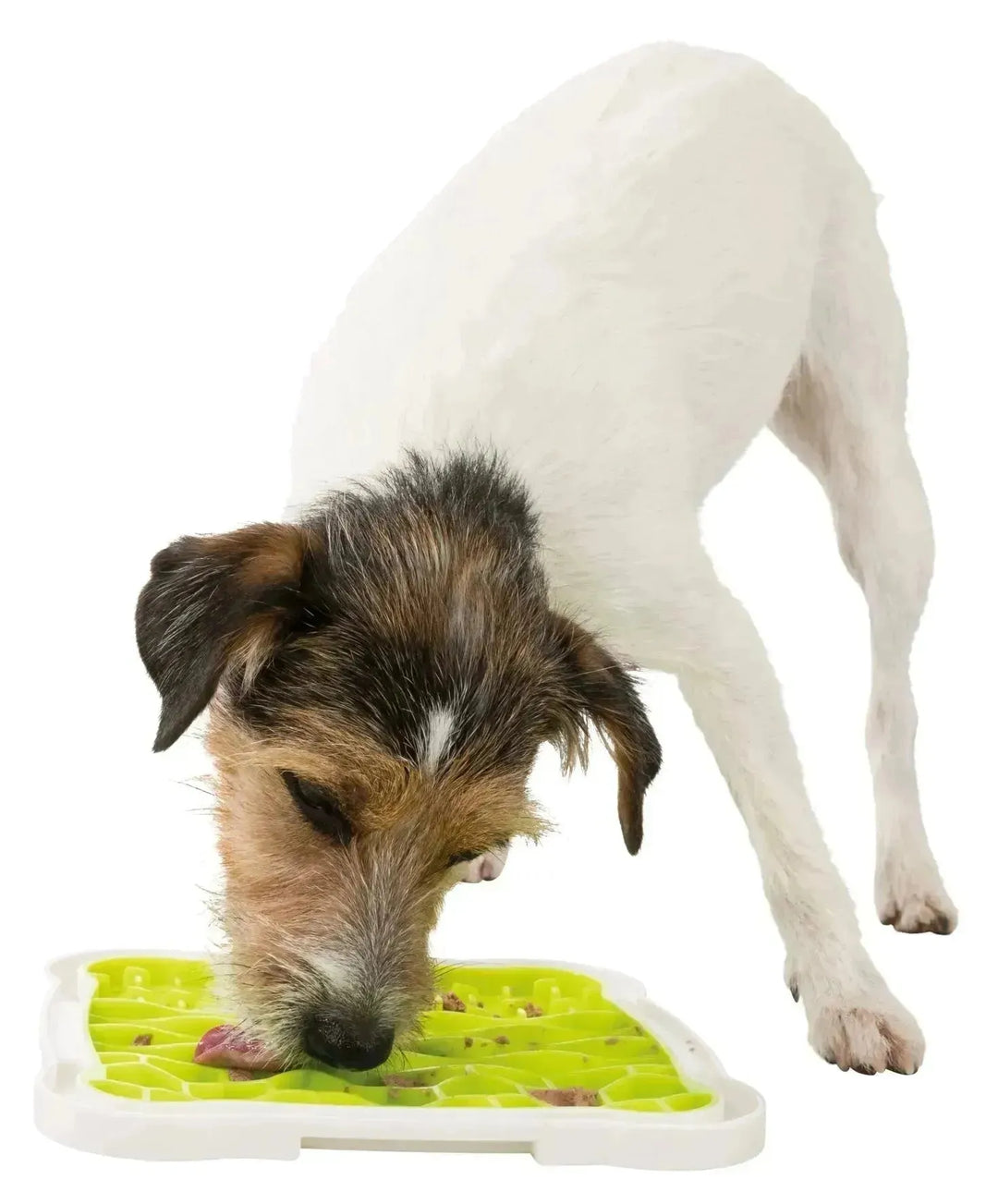 Lick’n’Snack Platter - PetsCura