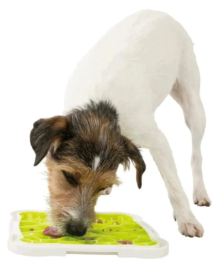 Lick’n’Snack Platter - PetsCura