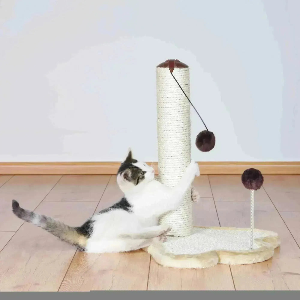 Scratching Paw with Post - PetsCura