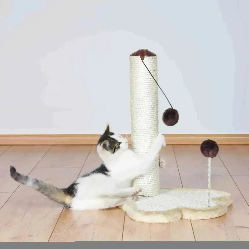 Scratching Paw with Post