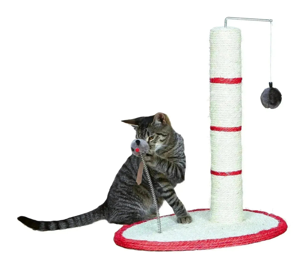 Scratch Me Post - PetsCura