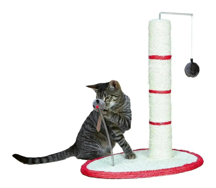 Scratch Me Post - PetsCura