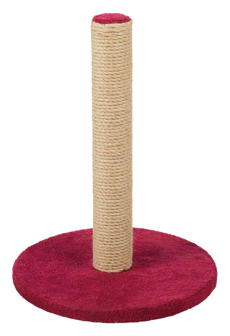 Scratching Post on Plate