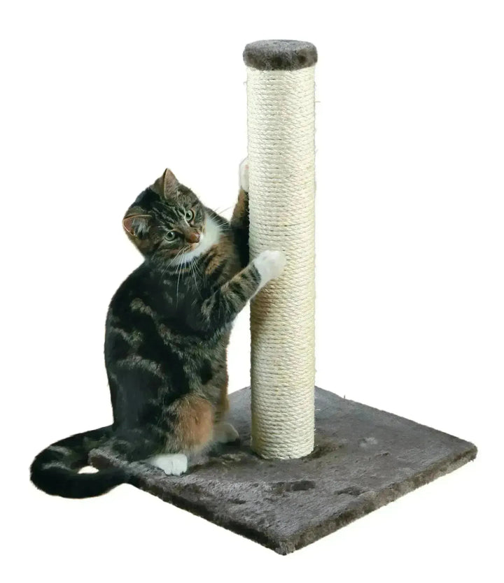Parla Scratching Post - PetsCura