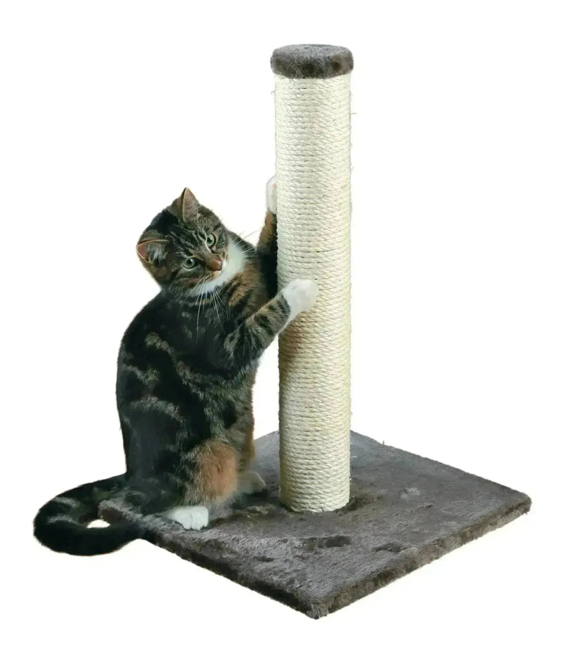 Parla Scratching Post