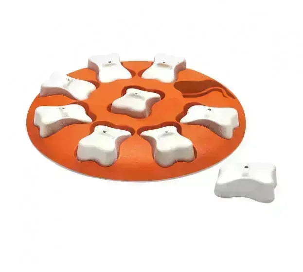 Nina Ottosson Dog Smart Puzzle