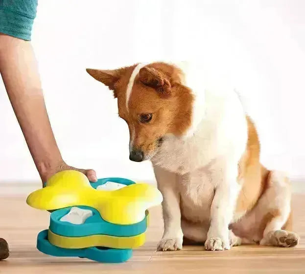 Nina Ottosson Dog Tornado Game