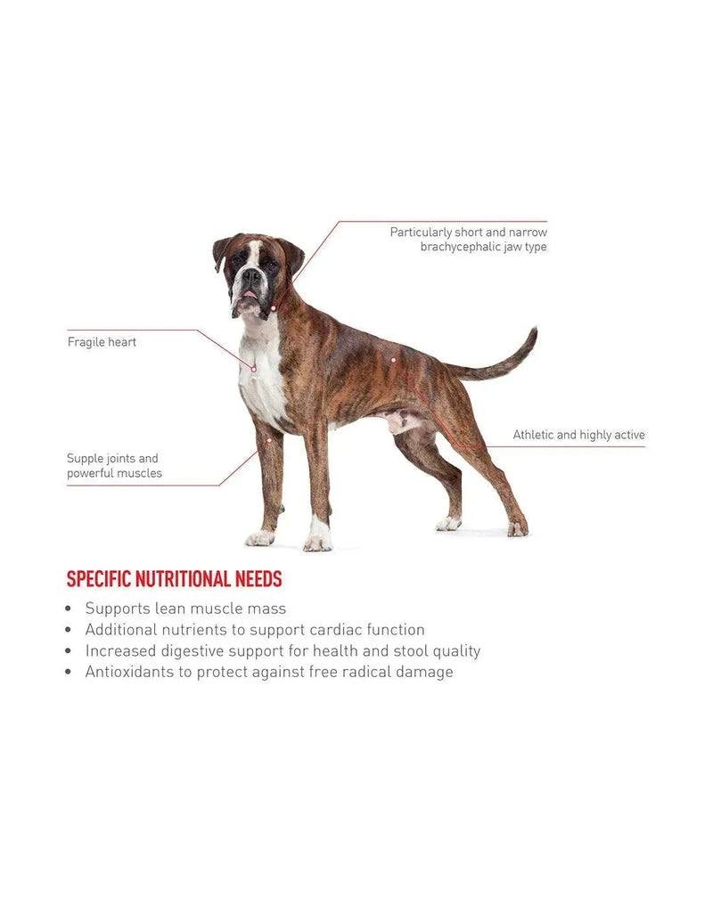 Royal Canin Boxer Adult - PetsCura