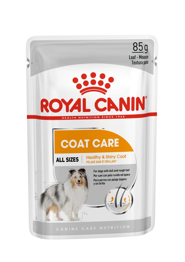 Royal Canin Coat Care Canine Loaf 12 x 85 Gms - PetsCura