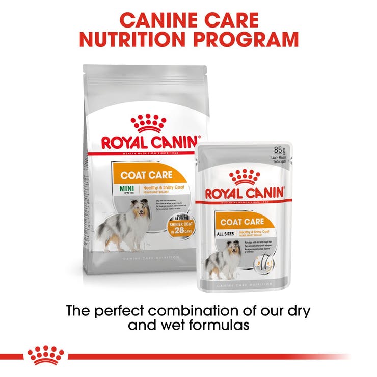 Royal Canin Coat Care Canine Loaf 12 x 85 Gms - PetsCura