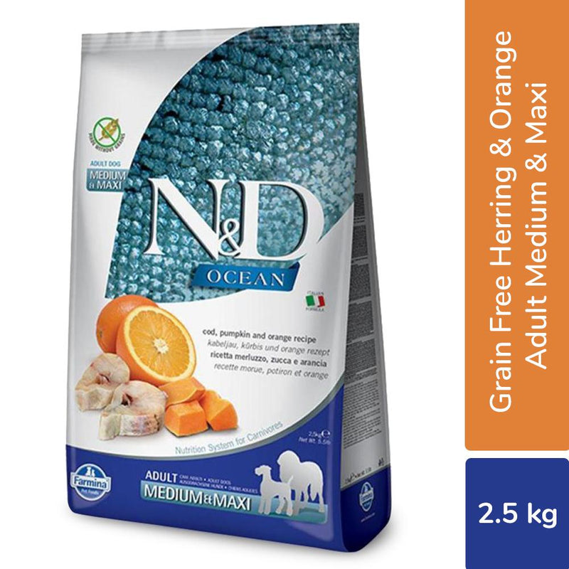 N&D Grain free Pumpkin Codfish & Orange Adult Medium & Maxi Dog Food - PetsCura