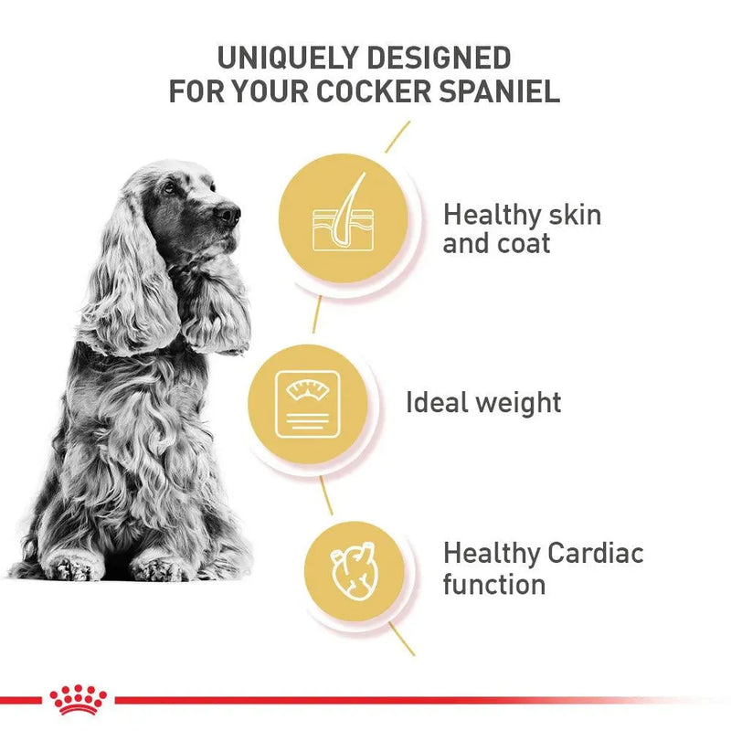 Royal Canin Cocker Spaniel Adult - PetsCura