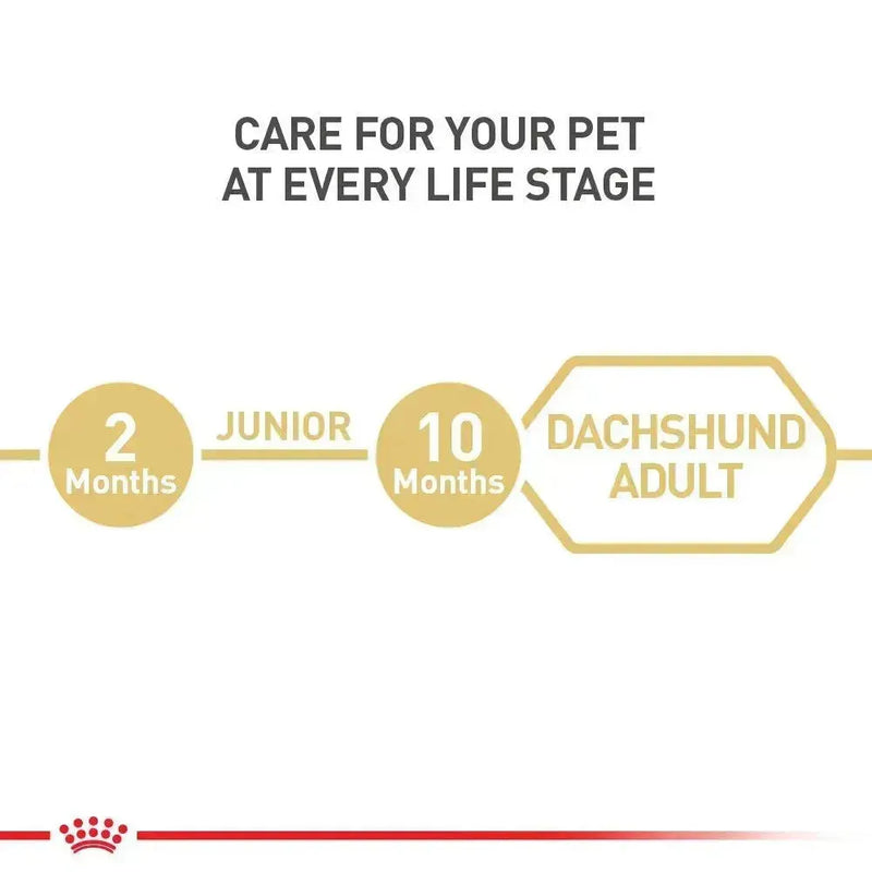 Royal Canin Dachshund Adult