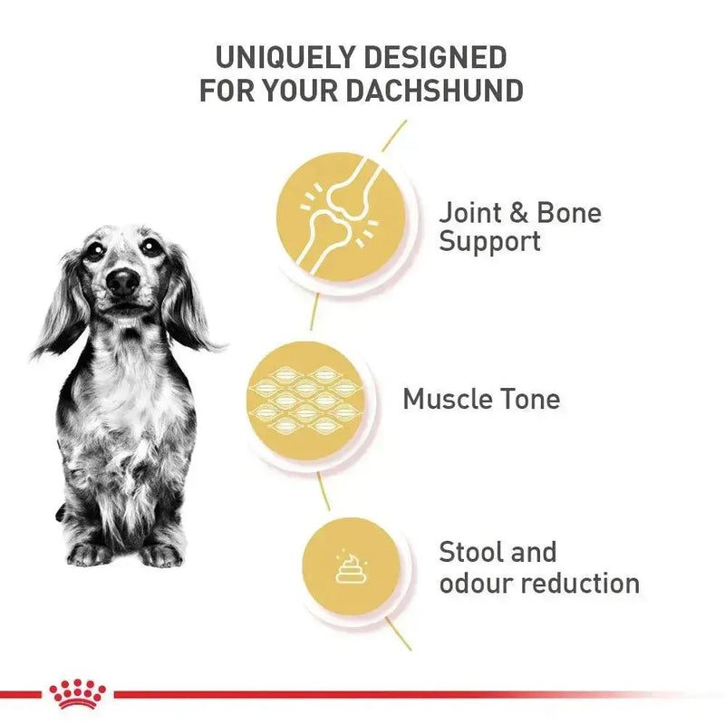 Royal Canin Dachshund Adult - PetsCura