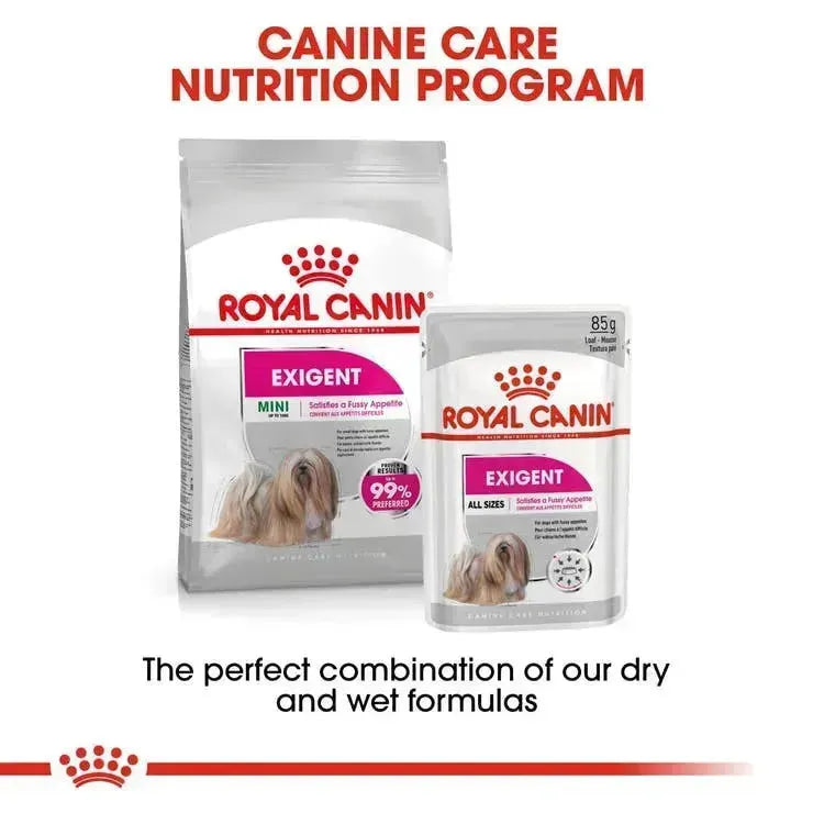 Royal Canin Exigent Canine Loaf 12x85 gm