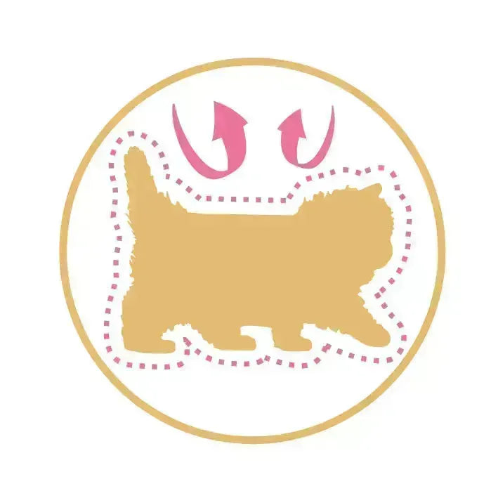 Royal Canin Persian Kitten - PetsCura
