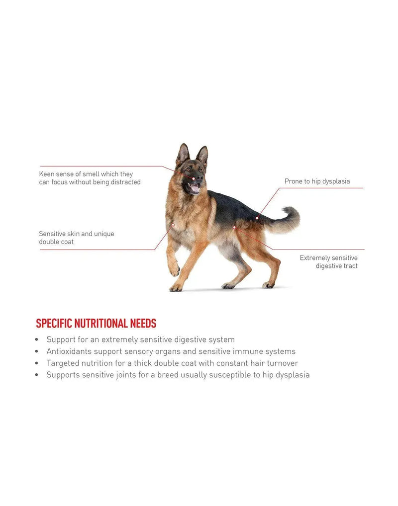 Royal Canin German Shepherd Adult - PetsCura