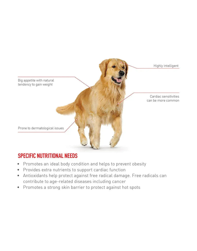 Royal Canin Golden Retriever Puppy - PetsCura