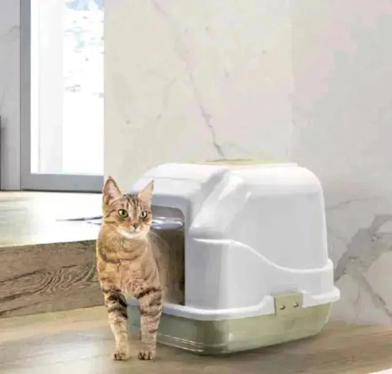 Easy Cat - PetsCura