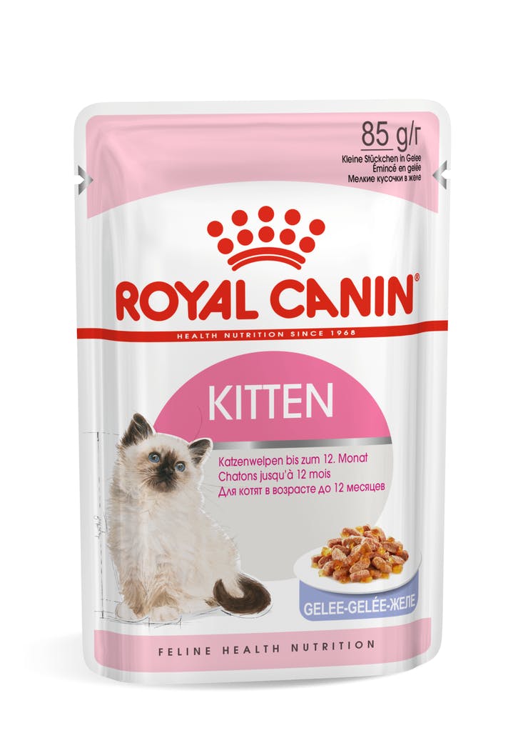 Royal Canin Kitten Jelly