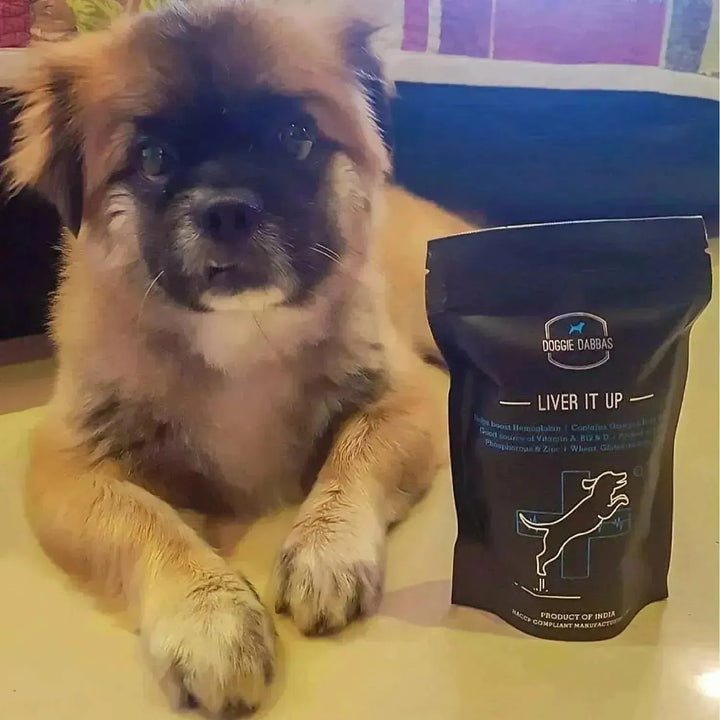 Doggie Dabba Liver it Up - PetsCura
