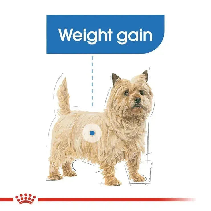 Royal Canin Light Care Canine Loaf 12 x 85 Gms - PetsCura