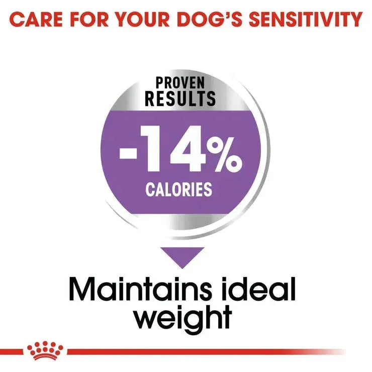 Royal Canin Maxi Sterilised