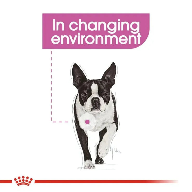 Royal Canin Mini Relax Care