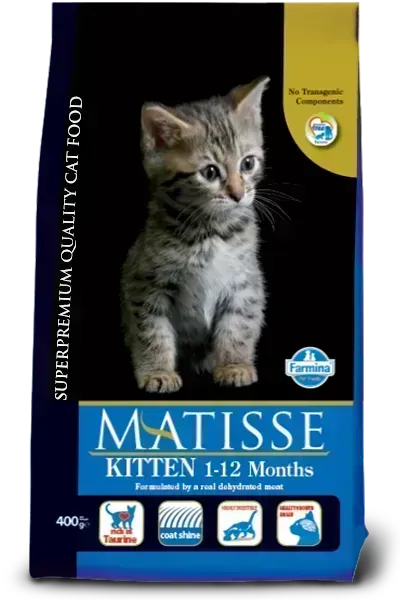 Matisse KITTEN 1-12 MONTHS - PetsCura