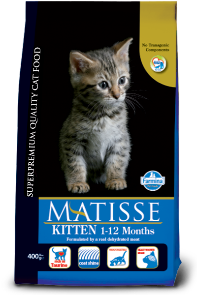 Matisse KITTEN 1-12 MONTHS - PetsCura