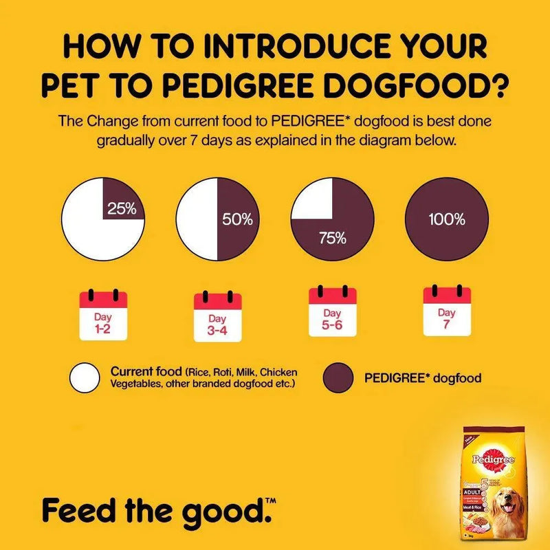 Pedigree Adult Dry Dog food Meat & Rice