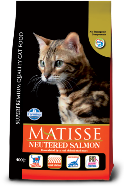 Matisse NEUTERED SALMON - PetsCura