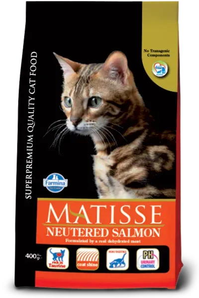 Matisse NEUTERED SALMON - PetsCura