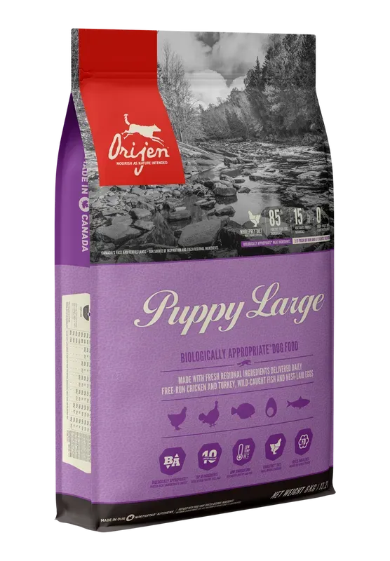 Orijen Large Breed Puppy Food - PetsCura